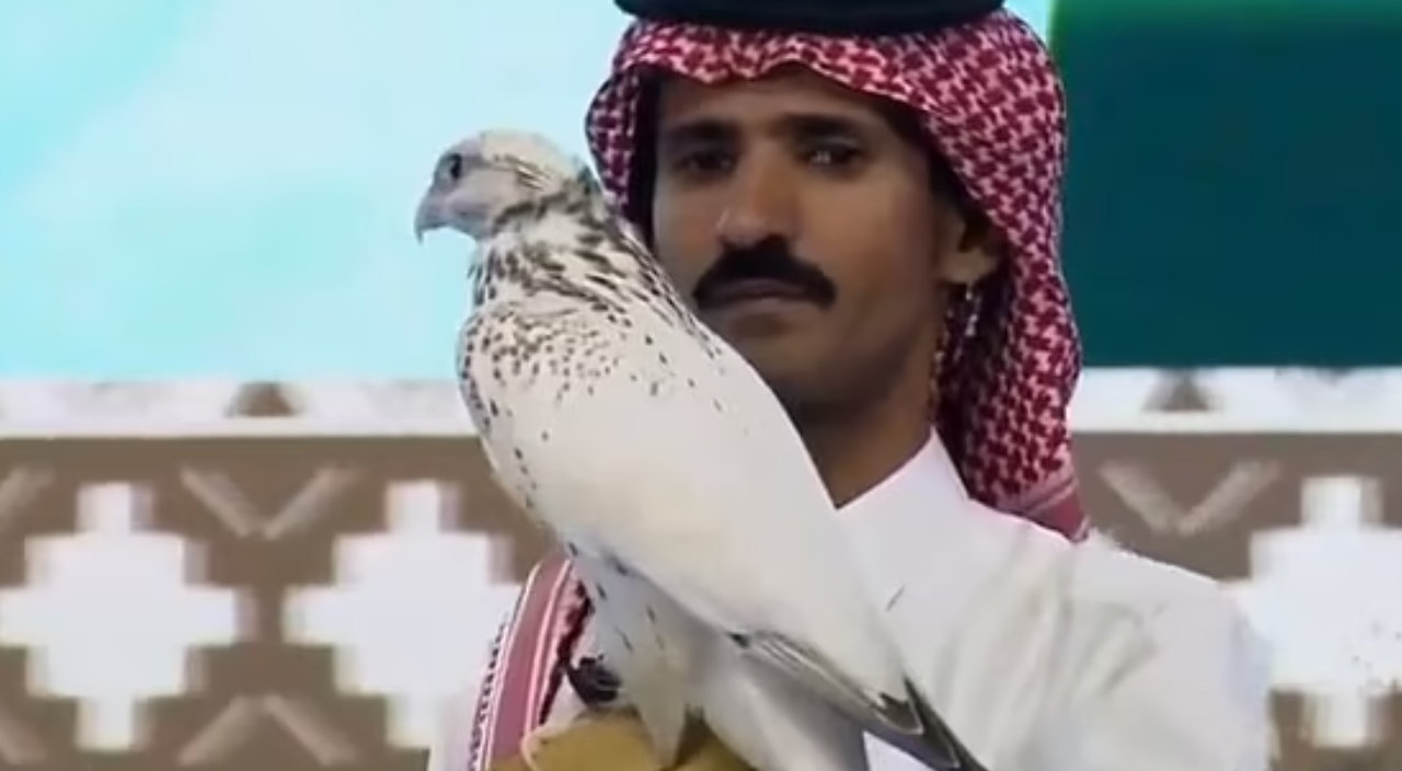 Dünyanın en büyük şahini 4 milyon TL'ye satıldı